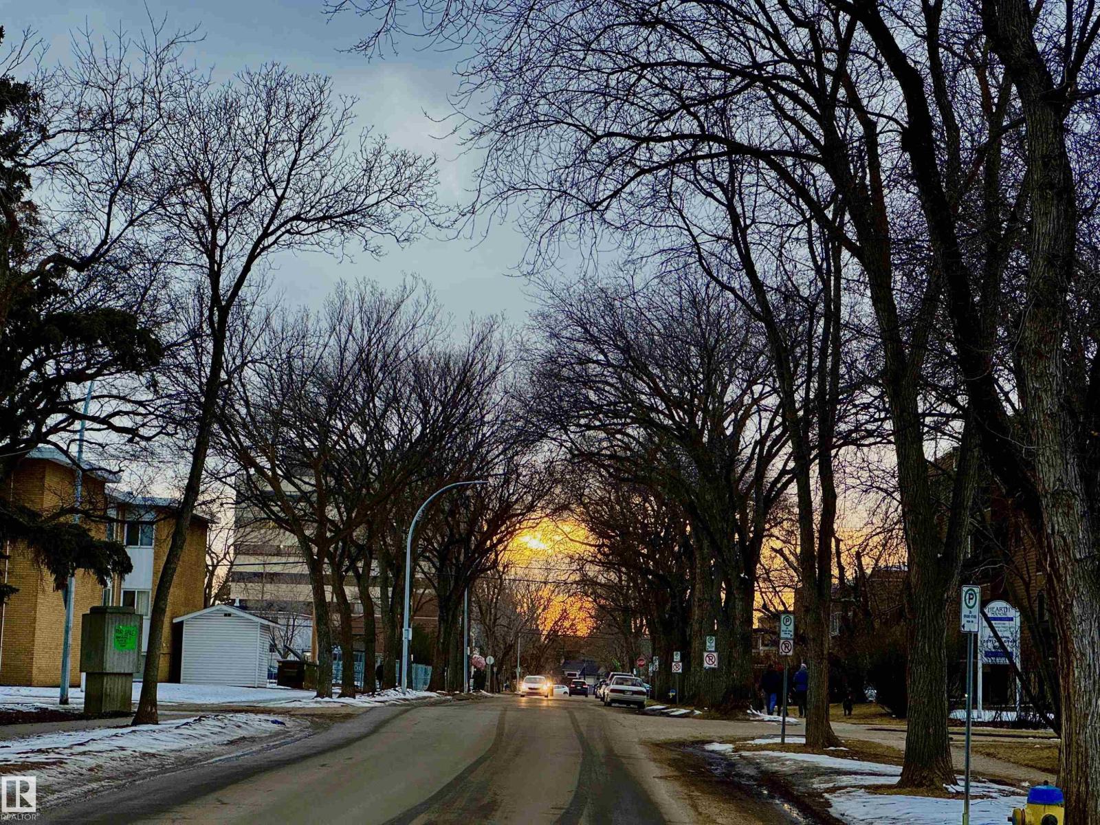 10346a 121 St Nw, Edmonton, Alberta  T5N 1P2 - Photo 64 - E4483095