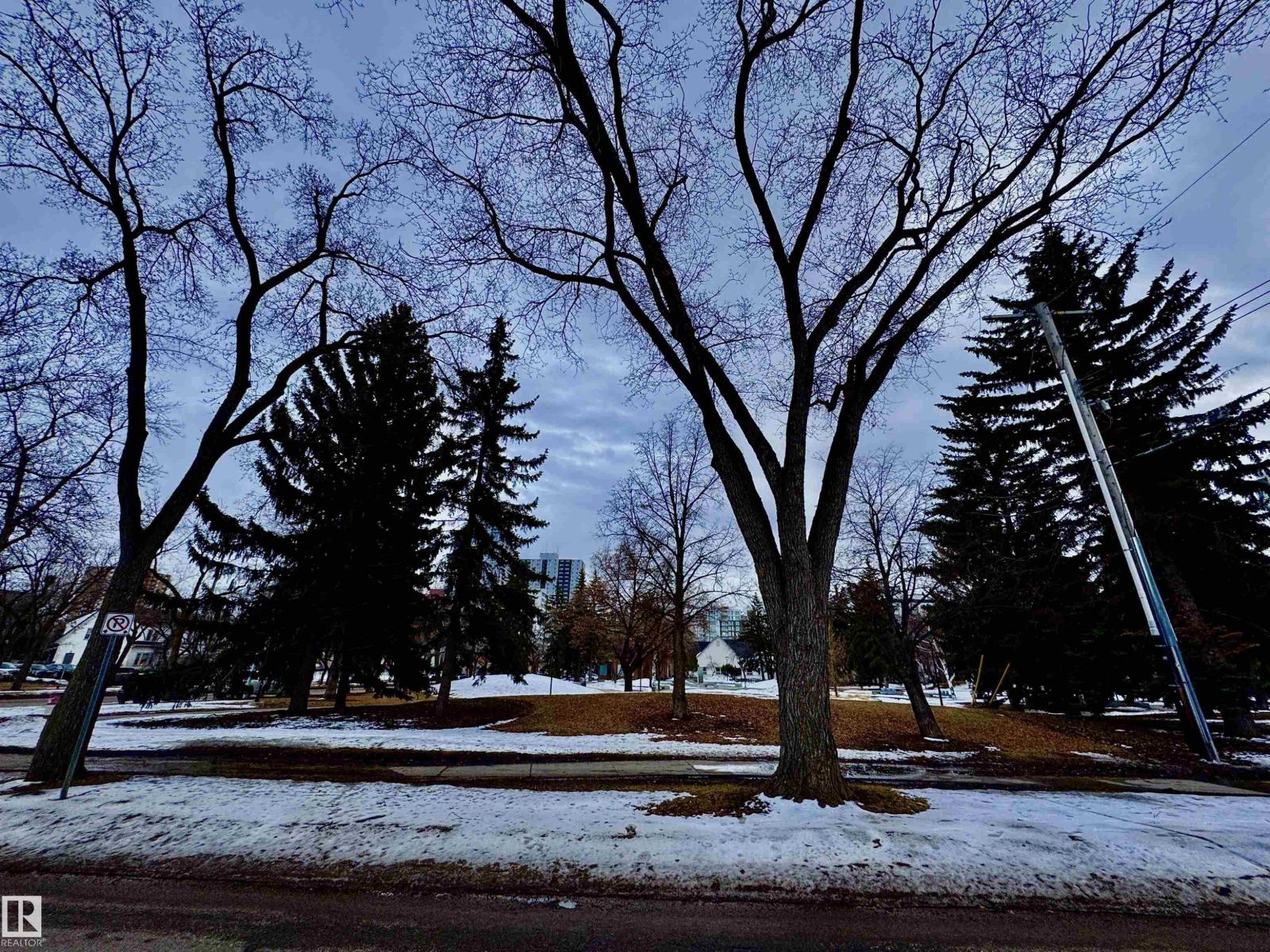 10346a 121 St Nw, Edmonton, Alberta  T5N 1P2 - Photo 65 - E4483095