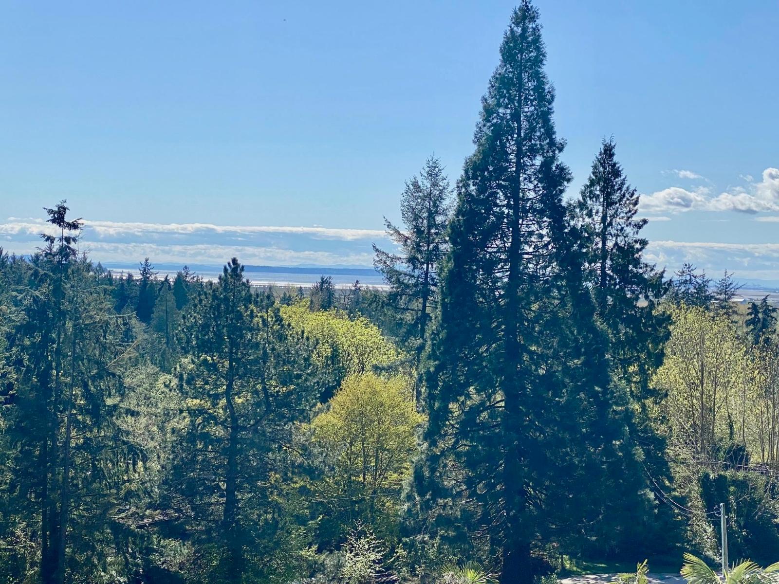 14203 Trites Road, Surrey, British Columbia  V3X 3E7 - Photo 39 - R3109487