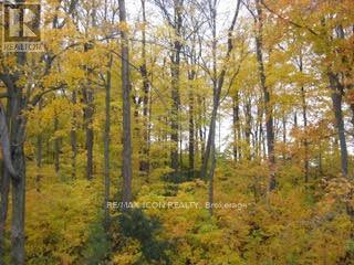 103 Glazebrook Crescent, Cambridge, Ontario  N1T 2H8 - Photo 30 - X13016980