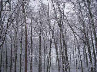 103 Glazebrook Crescent, Cambridge, Ontario  N1T 2H8 - Photo 31 - X13016980