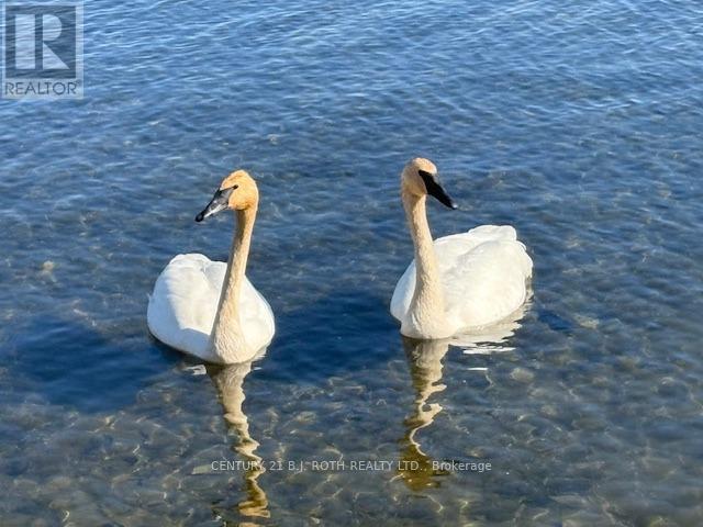 1931 Woods Bay Road, Severn, Ontario  L3V 0V7 - Photo 38 - S13015230
