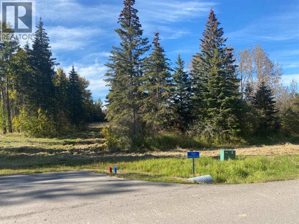 169 Meadow Ponds Drive, Rural Clearwater County, Alberta  T4T 1A7 - Photo 2 - A1259232