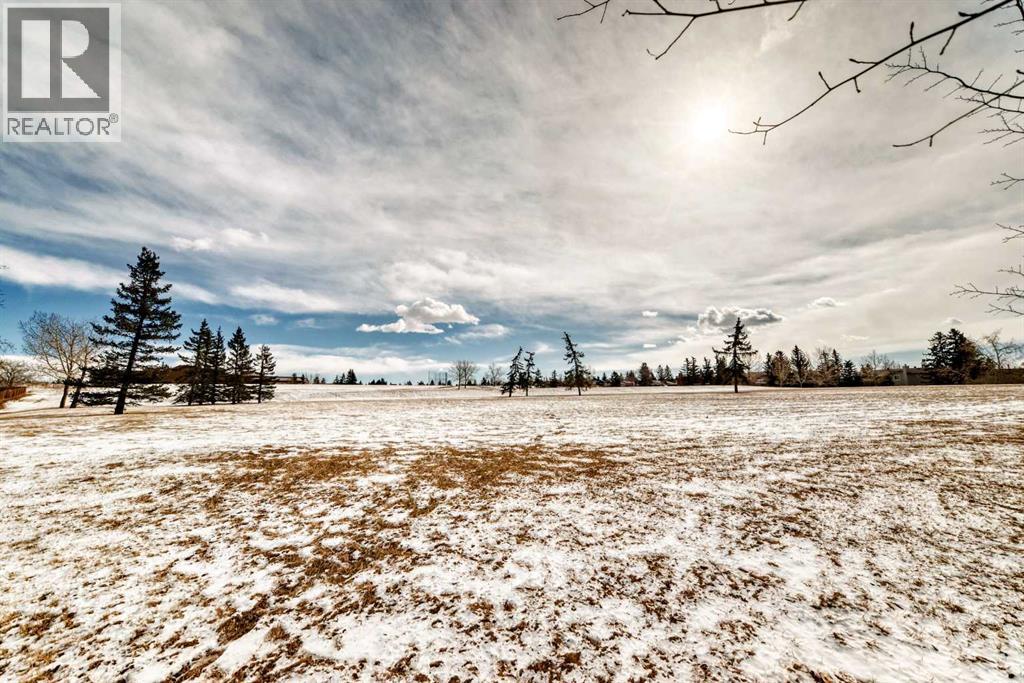 319 Whitefield Drive NE, Calgary, Alberta  T1Y 5S2 - Photo 44 - A2293469