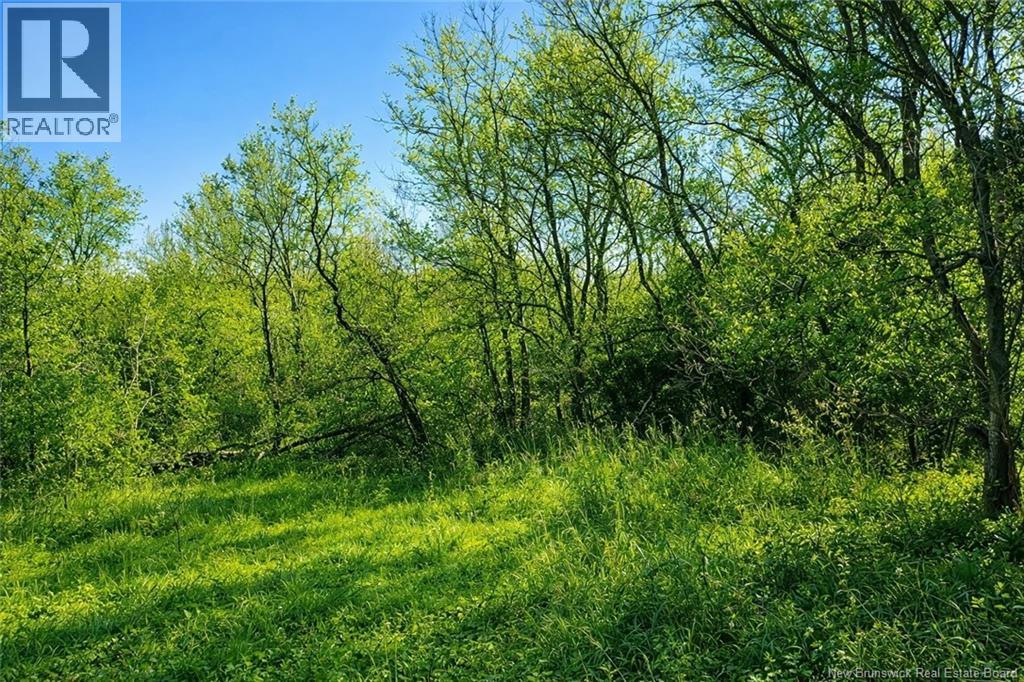 10001 105 Route, Beechwood, New Brunswick  E7J 1V3 - Photo 6 - NB133019