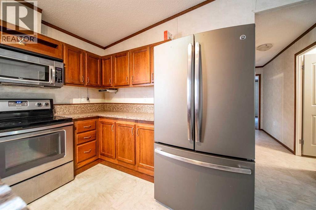 140 Hazel Street, Metiskow, Alberta  T0B 3A0 - Photo 3 - A2259795