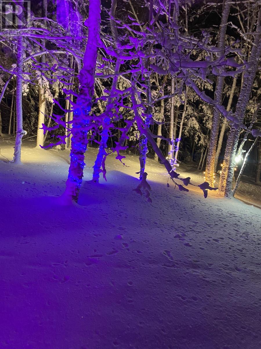 20 Perry Court, Fall River, Nova Scotia  B2T 1A4 - Photo 48 - 202603732