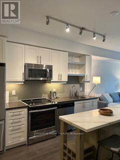 224 - 525 Adelaide Street W, Toronto (Waterfront Communities), Ontario  M5V 0N7 - Photo 3 - C13017282