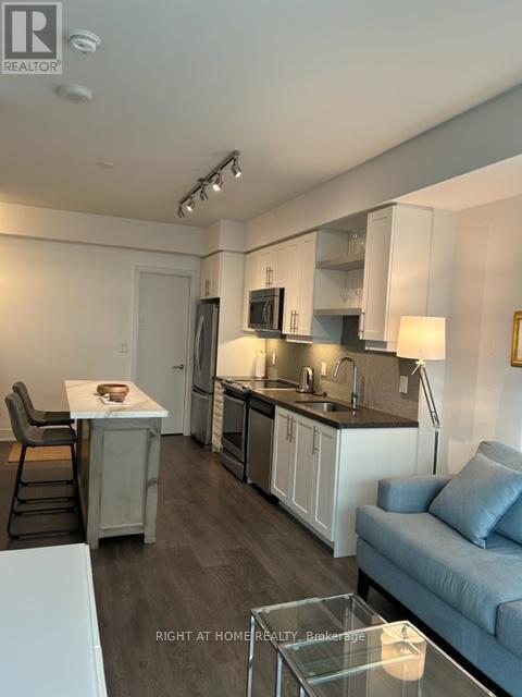 224 - 525 Adelaide Street W, Toronto (Waterfront Communities), Ontario  M5V 0N7 - Photo 5 - C13017282