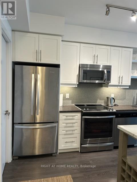 224 - 525 Adelaide Street W, Toronto (Waterfront Communities), Ontario  M5V 0N7 - Photo 7 - C13017282