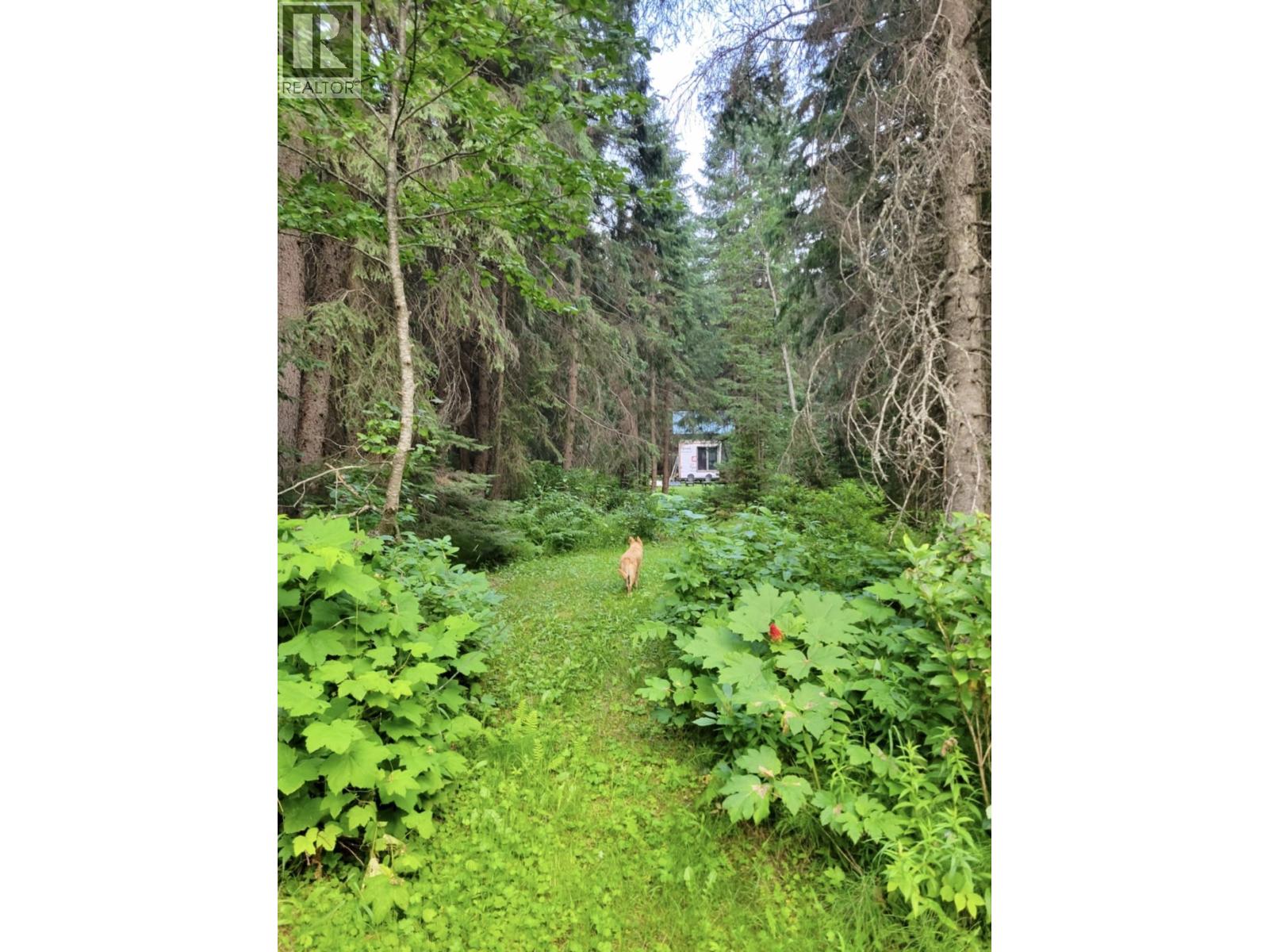 18405 S 5 Highway, Valemount, British Columbia  V0E 2Z0 - Photo 5 - R3112874