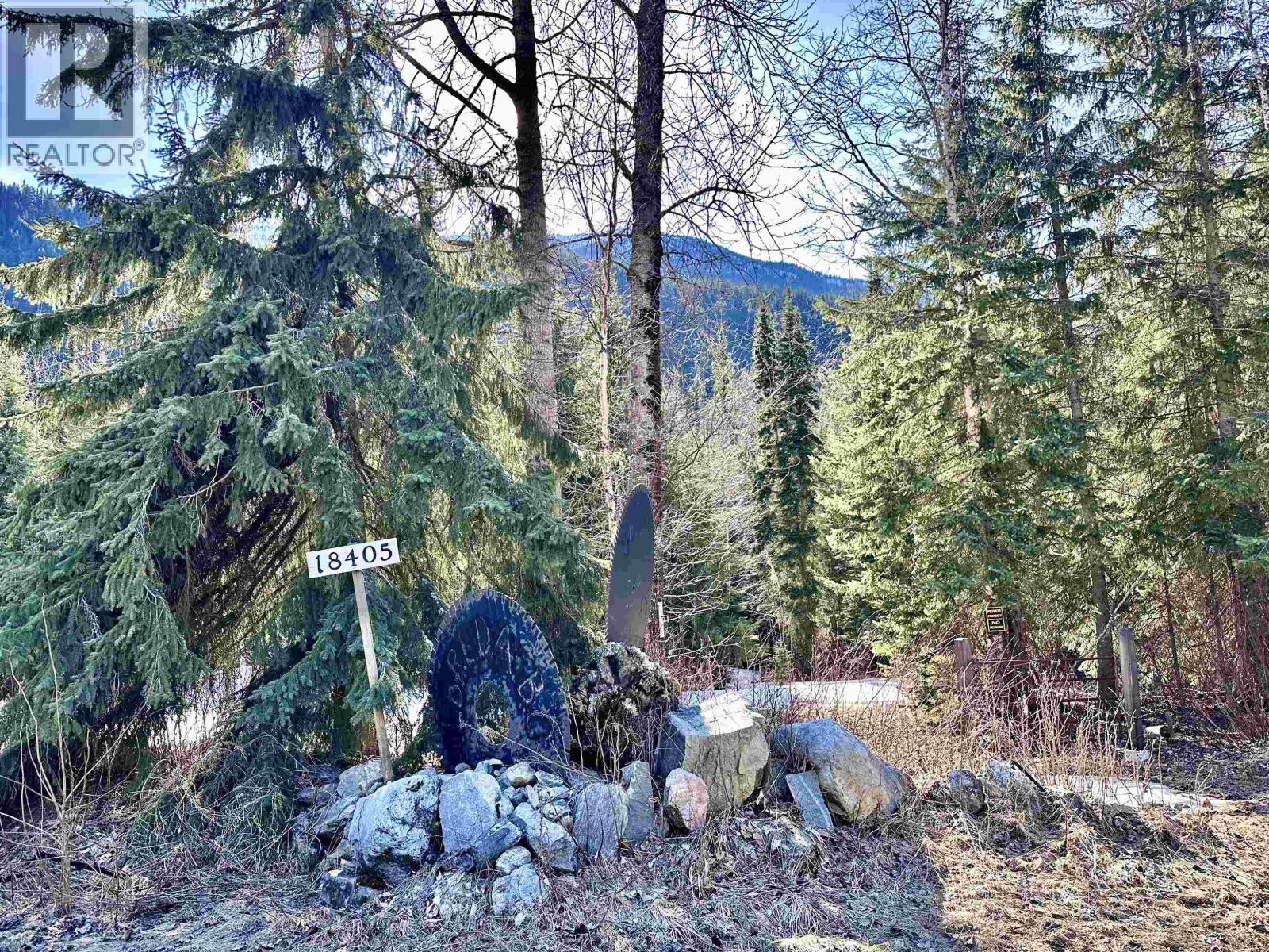 18405 S 5 Highway, Valemount, British Columbia  V0E 2Z0 - Photo 6 - R3112874