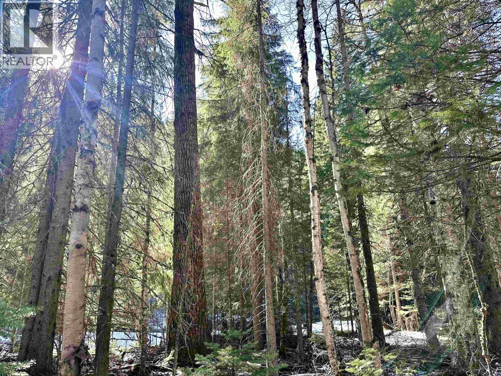 18405 S 5 Highway, Valemount, British Columbia  V0E 2Z0 - Photo 4 - R3112874