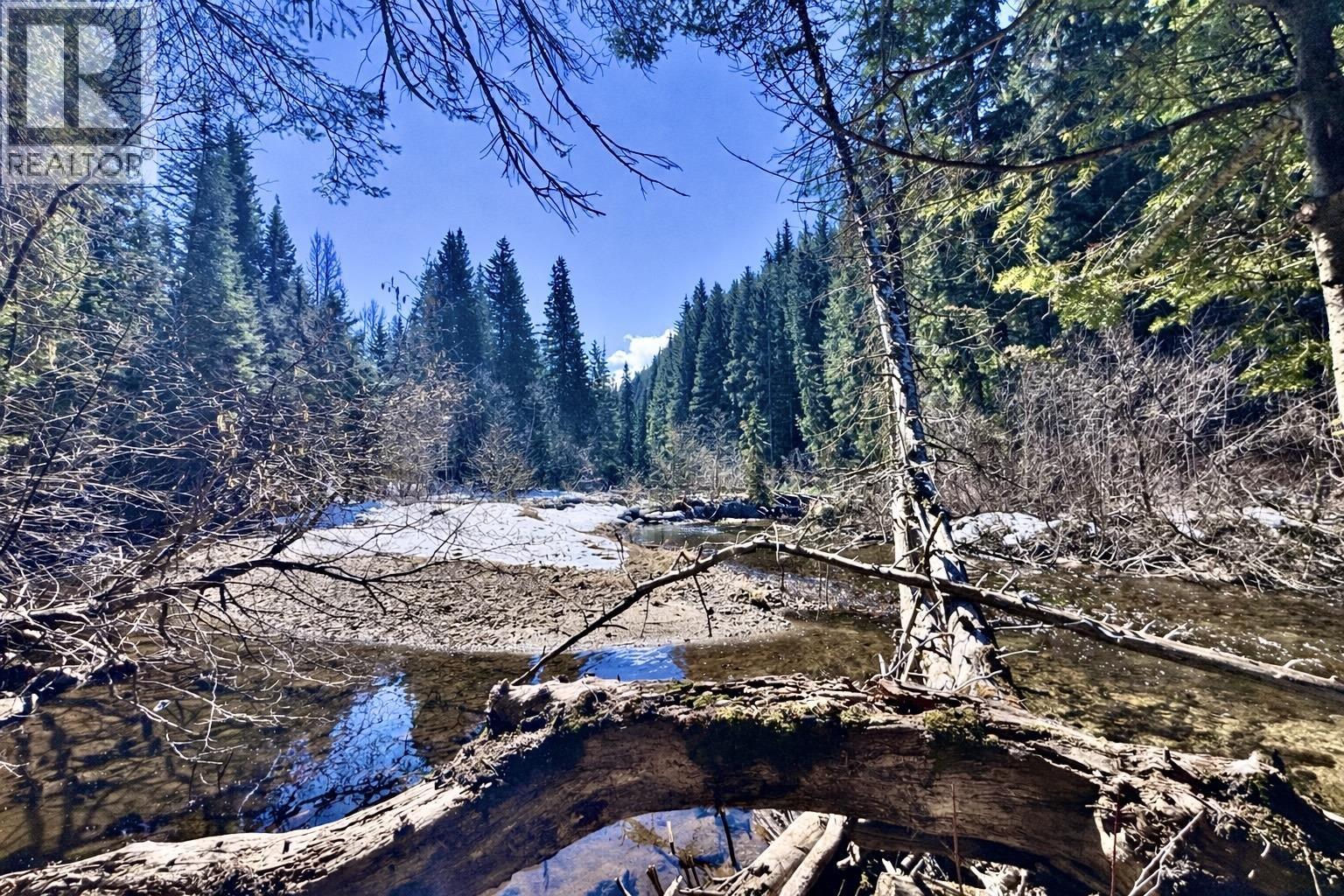 18405 S 5 Highway, Valemount, British Columbia  V0E 2Z0 - Photo 10 - R3112874