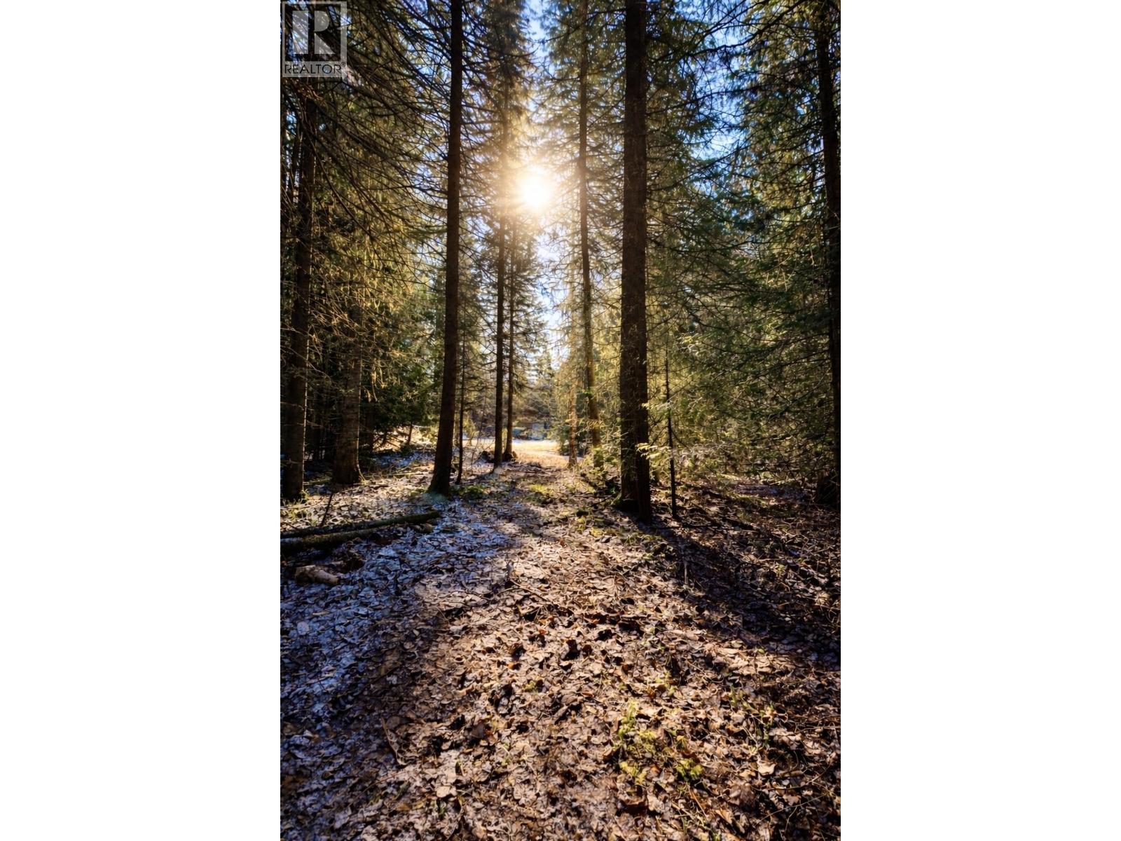 18405 S 5 Highway, Valemount, British Columbia  V0E 2Z0 - Photo 11 - R3112874