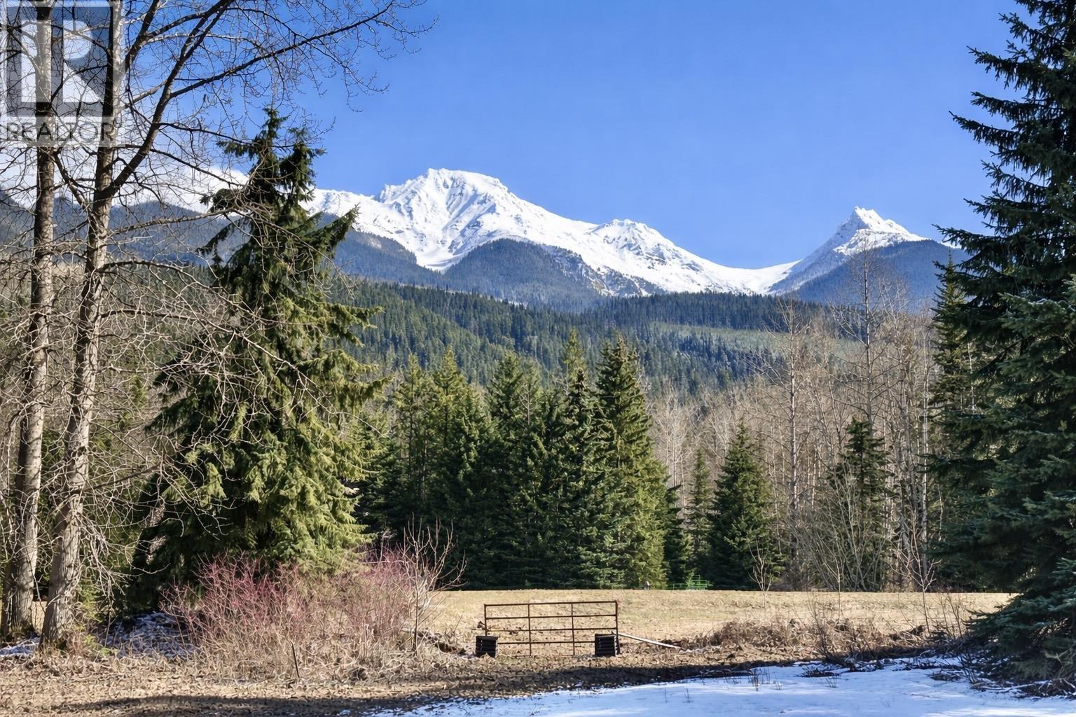 18405 S 5 Highway, Valemount, British Columbia  V0E 2Z0 - Photo 7 - R3112874