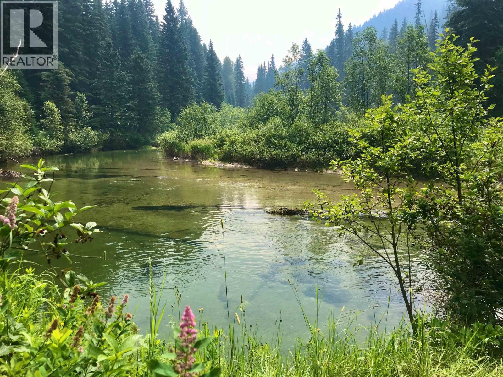 18405 S 5 Highway, Valemount, British Columbia  V0E 2Z0 - Photo 2 - R3112874