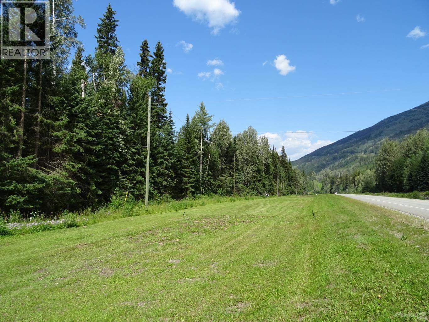 18405 S 5 Highway, Valemount, British Columbia  V0E 2Z0 - Photo 8 - R3112874