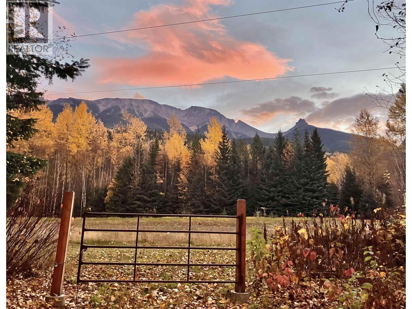 18405 S 5 Highway, Valemount, British Columbia  V0E 2Z0 - Photo 1 - R3112874