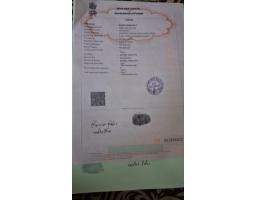 7021 132 STREET, Surrey, British Columbia