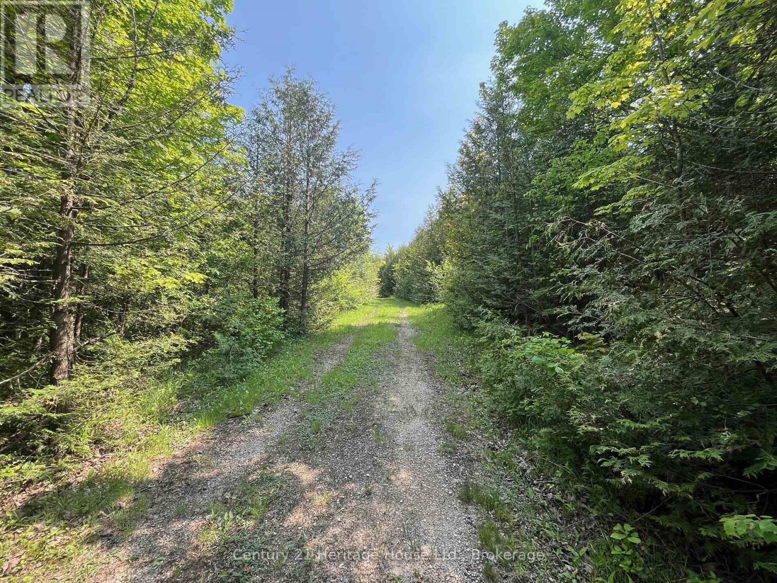 502774 Sideroad 9 Wgr, West Grey, Ontario  N0G 1R0 - Photo 2 - X13017428
