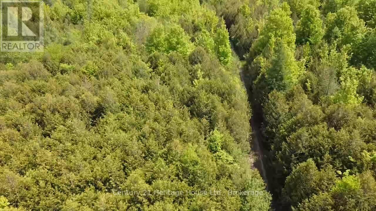 502774 Sideroad 9 Wgr, West Grey, Ontario  N0G 1R0 - Photo 7 - X13017428