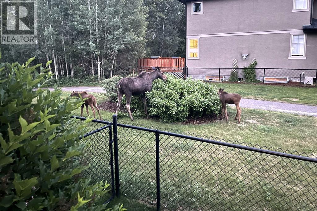 66 Tuscany Reserve Gate NW, Calgary, Alberta  T3L 0A6 - Photo 46 - A2302271