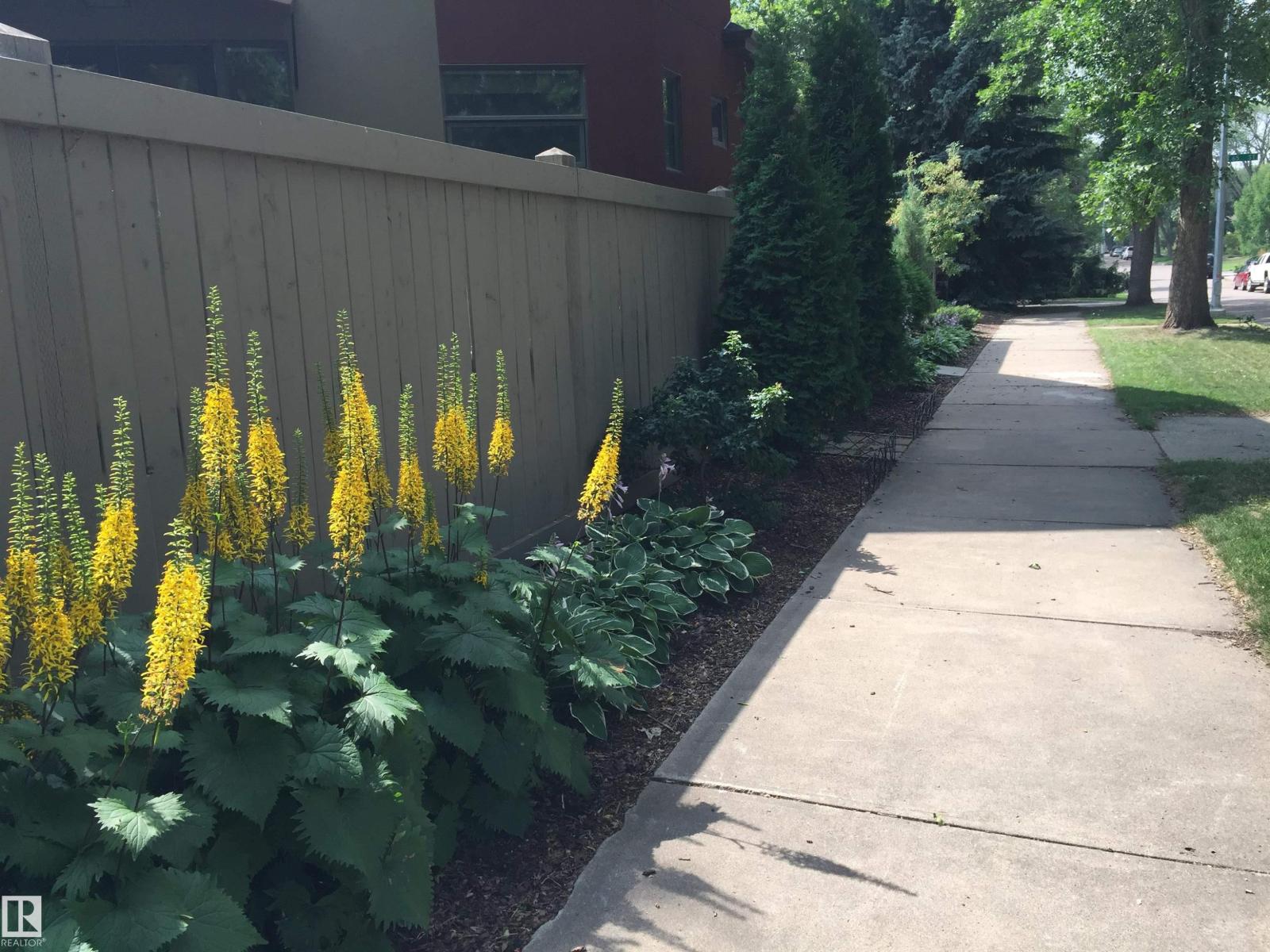 6428 Ada Bv NW, Edmonton, Alberta  T5W 4P2 - Photo 70 - E4475389