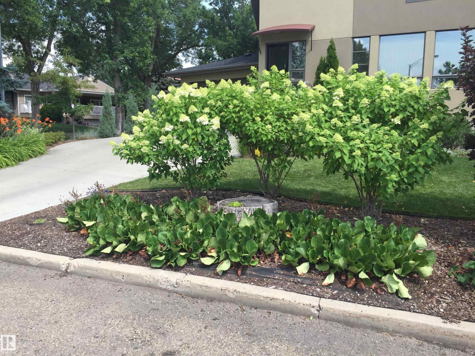 6428 Ada Bv NW, Edmonton, Alberta  T5W 4P2 - Photo 71 - E4475389