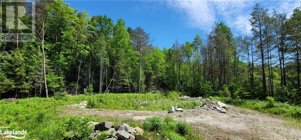 15 MADELINE STREET, Huntsville, Ontario