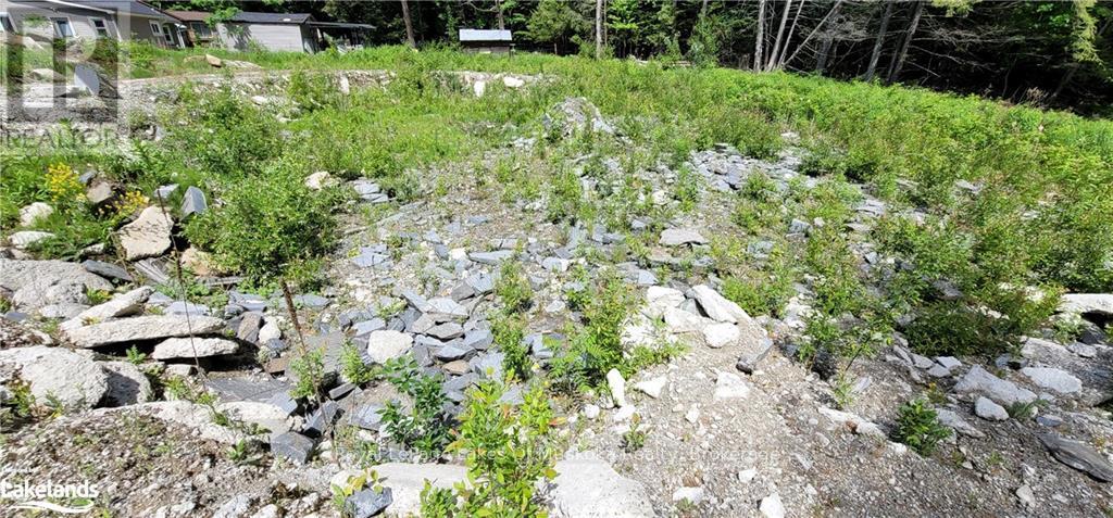 15 Madeline Street, Huntsville, Ontario  P1H 1L8 - Photo 6 - X10434540