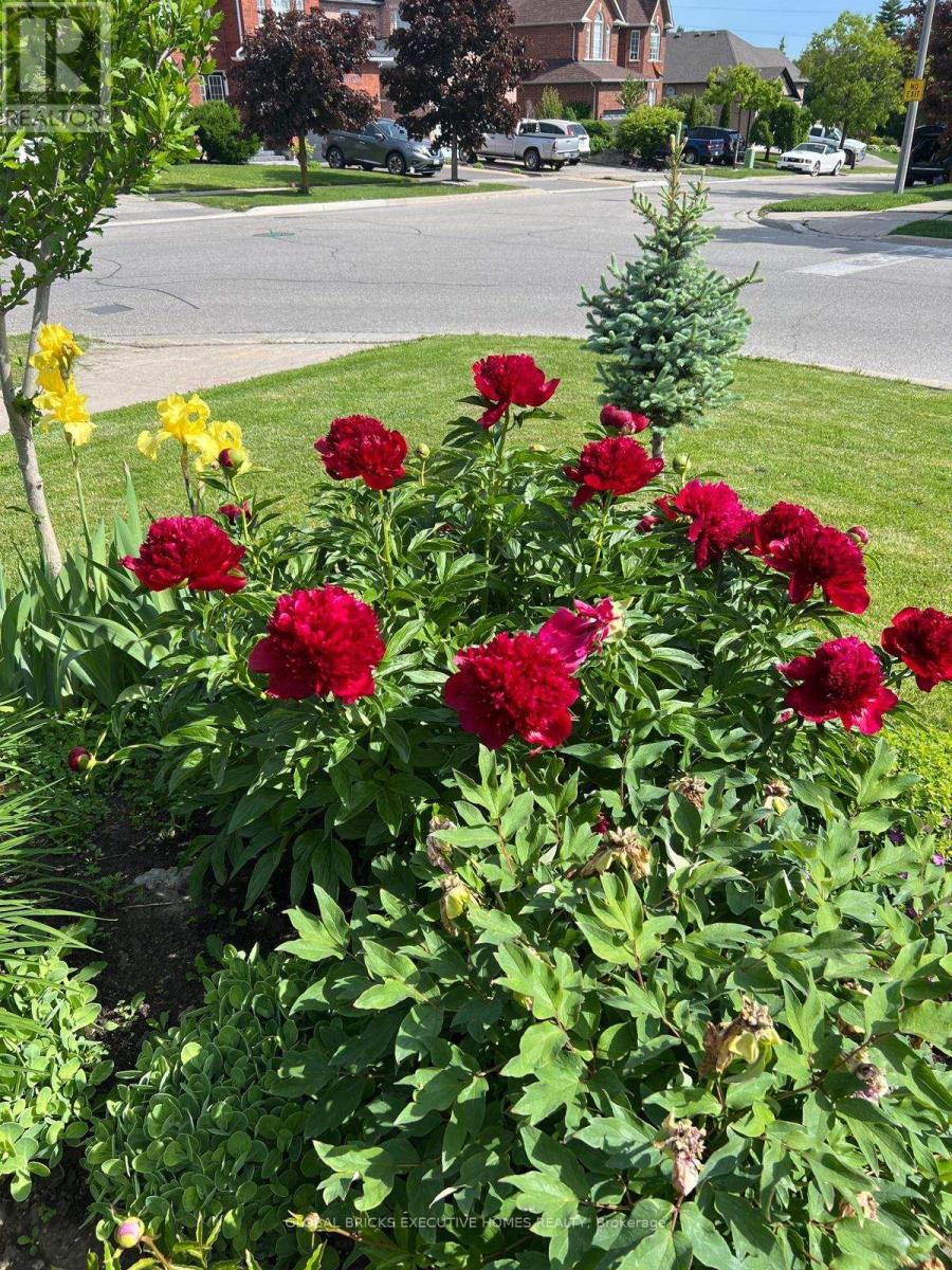 40 Hubert Corless Drive S, Caledon, Ontario  L7E 1W7 - Photo 4 - W13009142