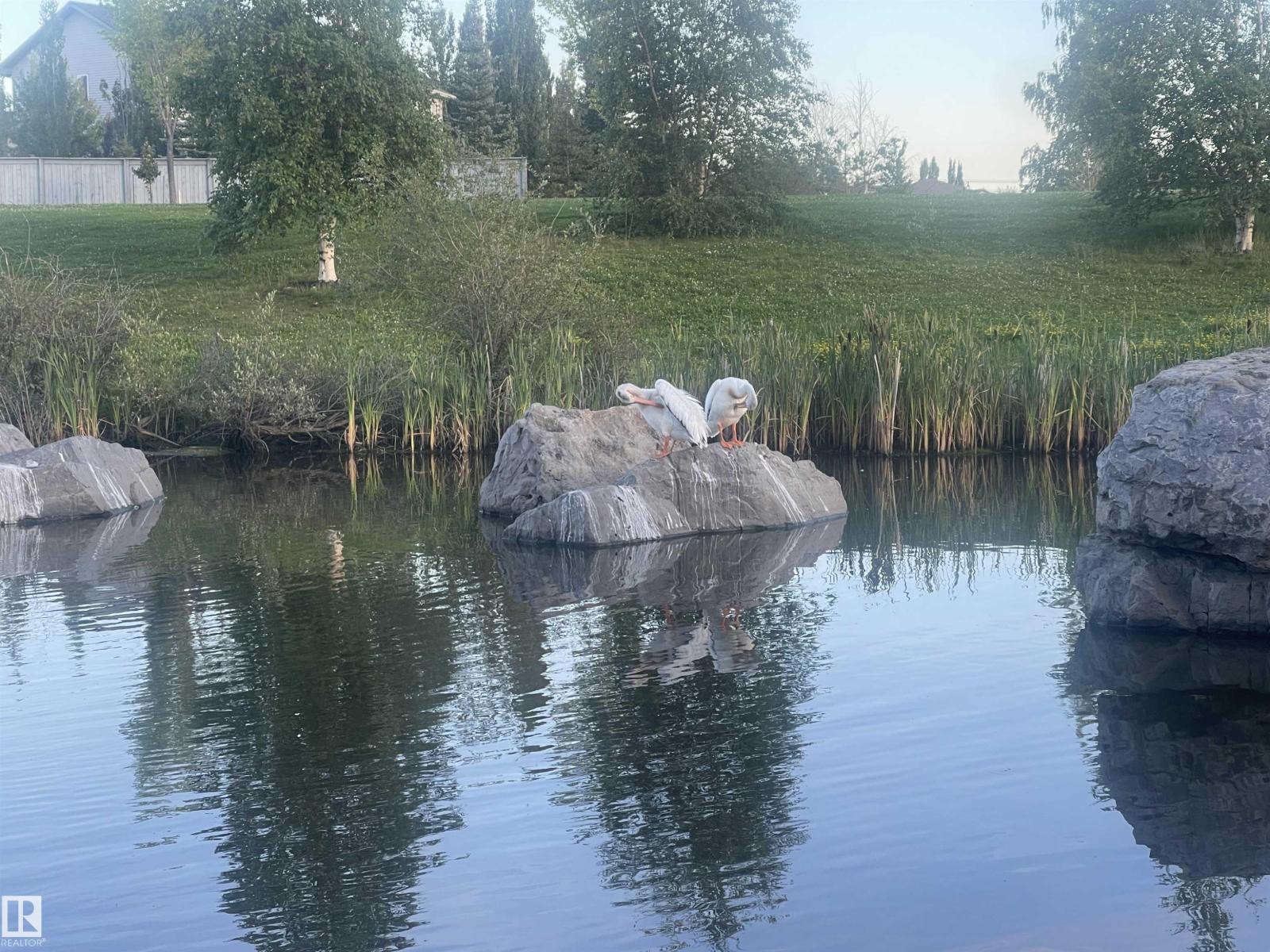 7548 Speaker Wy NW, Edmonton, Alberta  T6R 0P1 - Photo 70 - E4474257