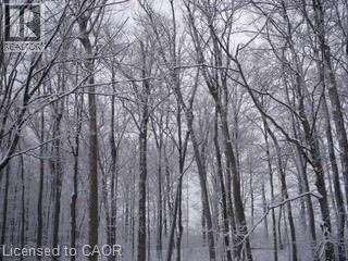 103 Glazebrook Crescent, Cambridge, Ontario  N1T 2H8 - Photo 48 - 40822076