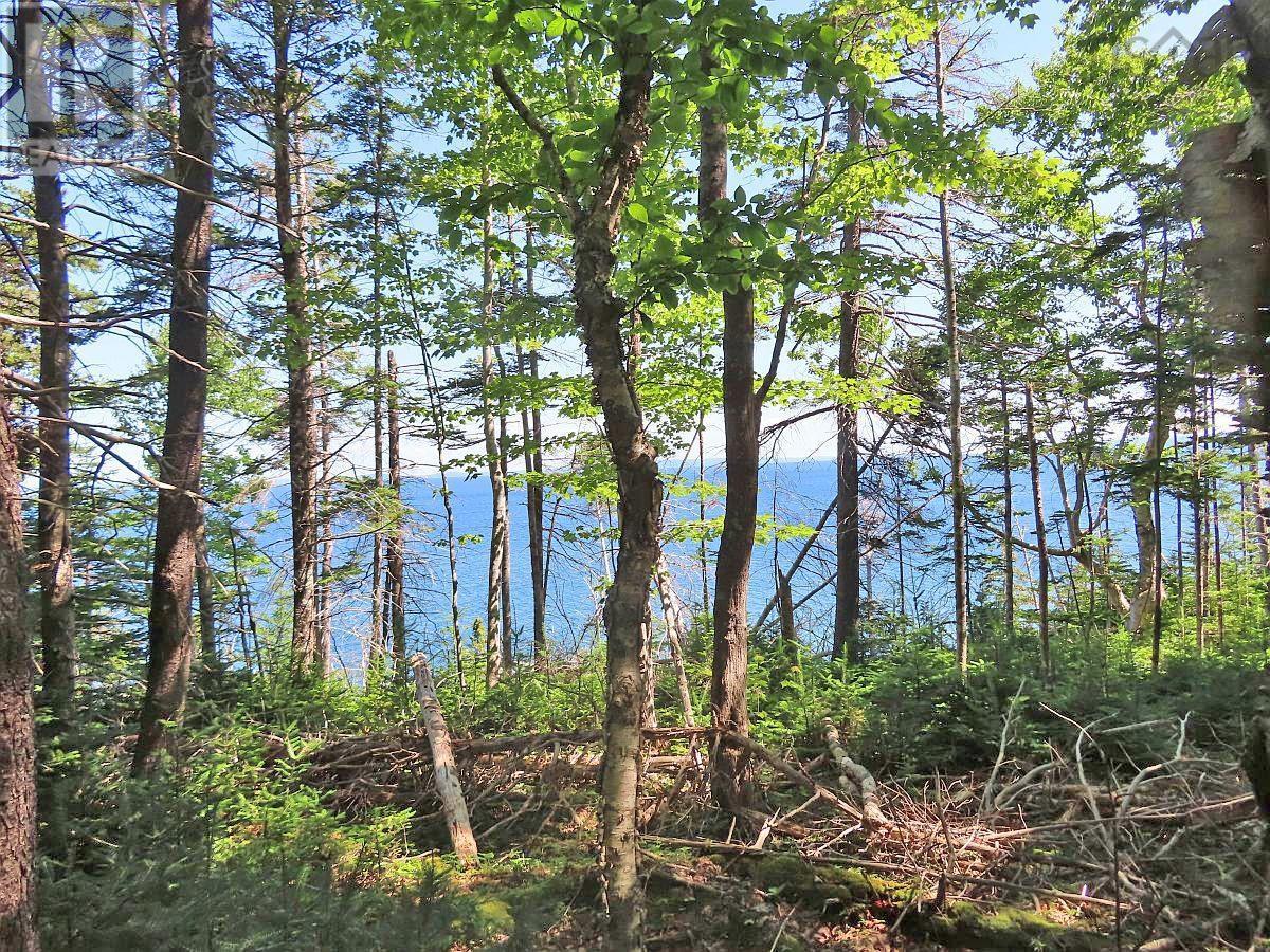 195 Acres West Bay Highway, Roberta, Nova Scotia  B0E 3K0 - Photo 13 - 202509009