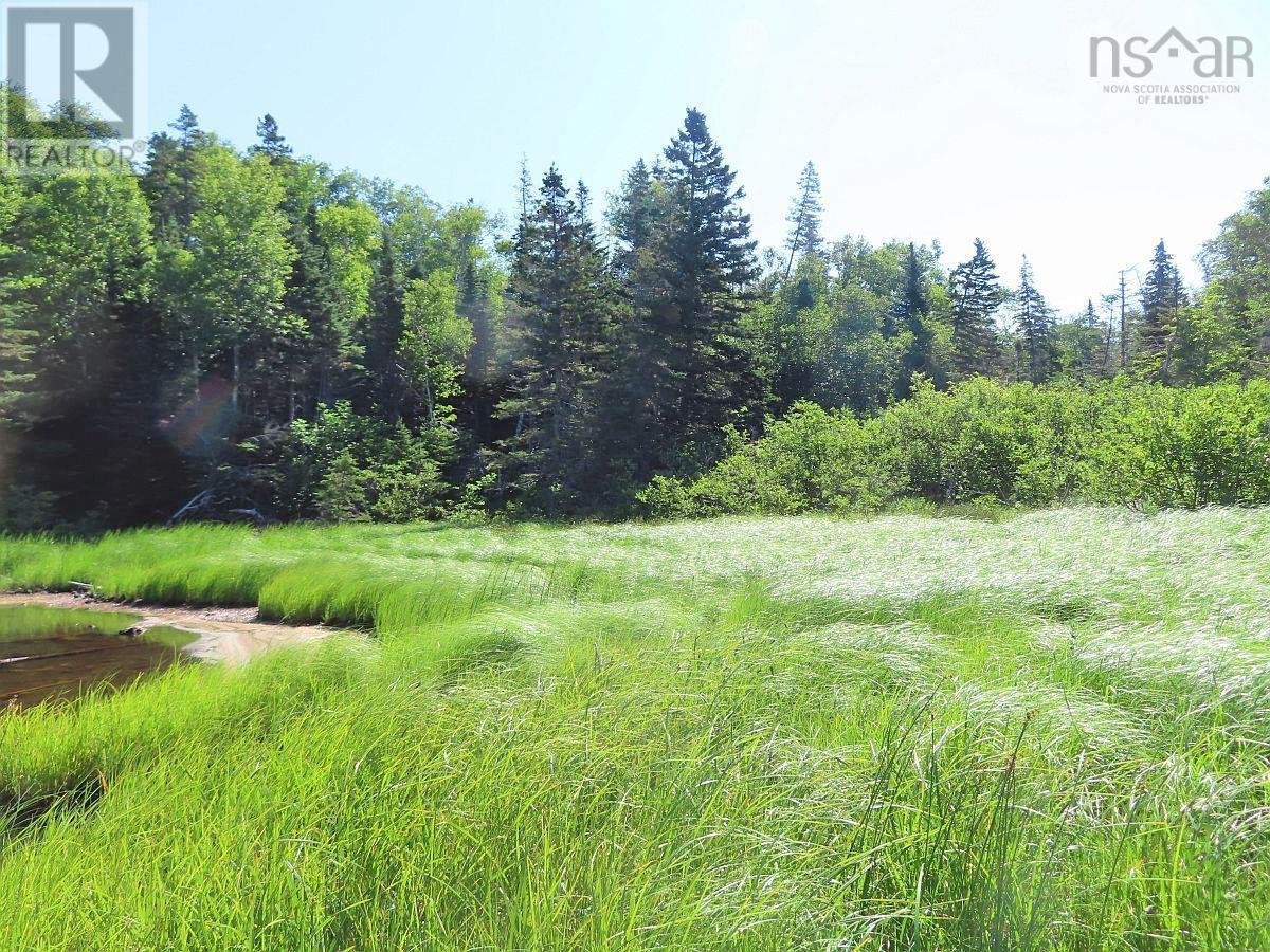 195 Acres West Bay Highway, Roberta, Nova Scotia  B0E 3K0 - Photo 15 - 202509009