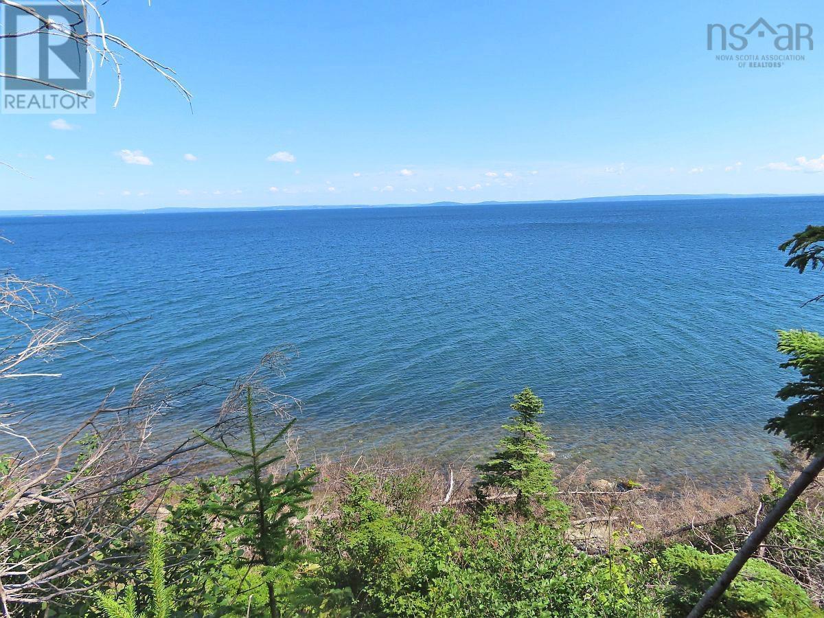 195 Acres West Bay Highway, Roberta, Nova Scotia  B0E 3K0 - Photo 6 - 202509009