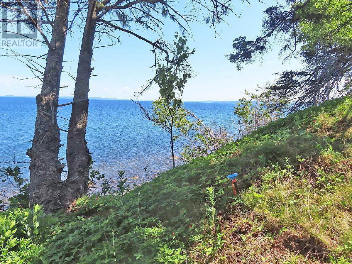 195 Acres West Bay Highway, Roberta, Nova Scotia  B0E 3K0 - Photo 7 - 202509009