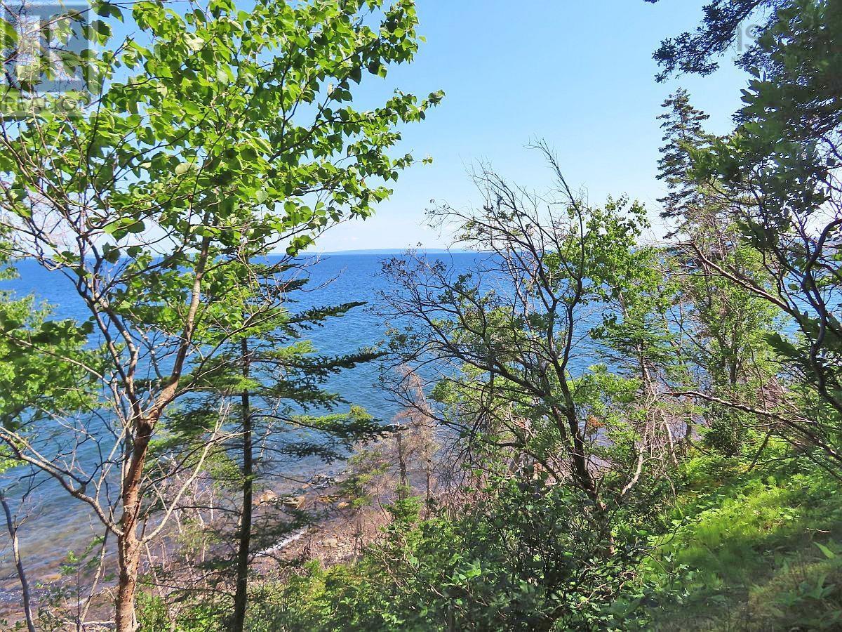 195 Acres West Bay Highway, Roberta, Nova Scotia  B0E 3K0 - Photo 8 - 202509009