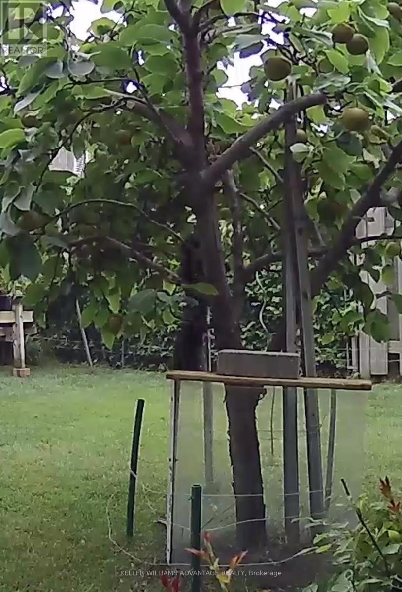 1188 Westerdam Road, Mississauga, Ontario  L4Y 2H4 - Photo 40 - W13017554