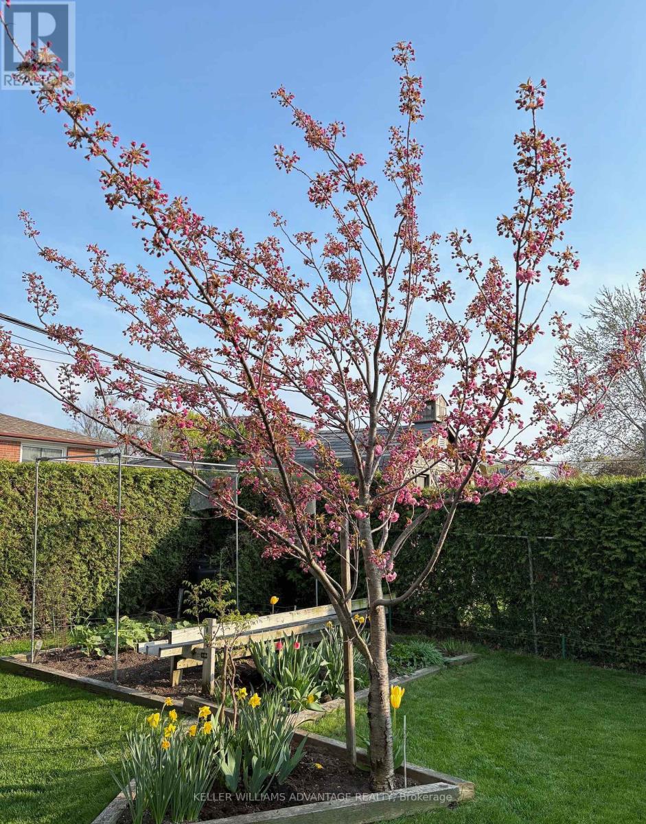 1188 Westerdam Road, Mississauga, Ontario  L4Y 2H4 - Photo 42 - W13017554