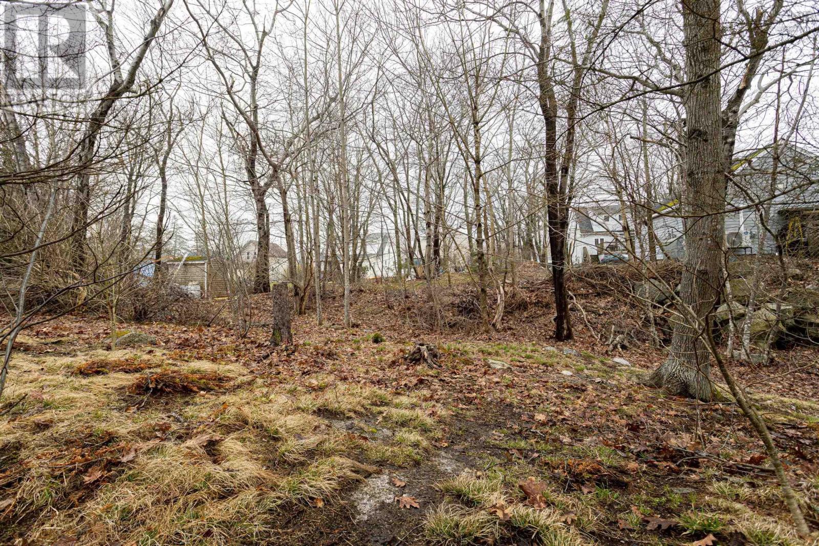 9 Crestview Drive, Halifax, Nova Scotia  B3P 1G1 - Photo 34 - 202607810