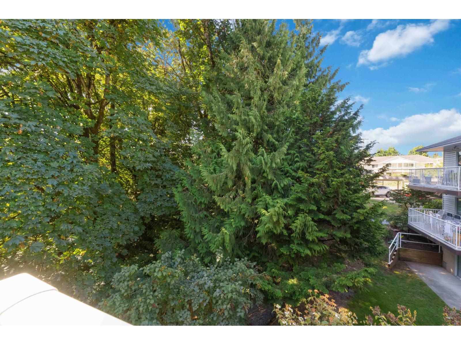 38 3380 Gladwin Road, Abbotsford, British Columbia  V2S 7G1 - Photo 25 - R3109992