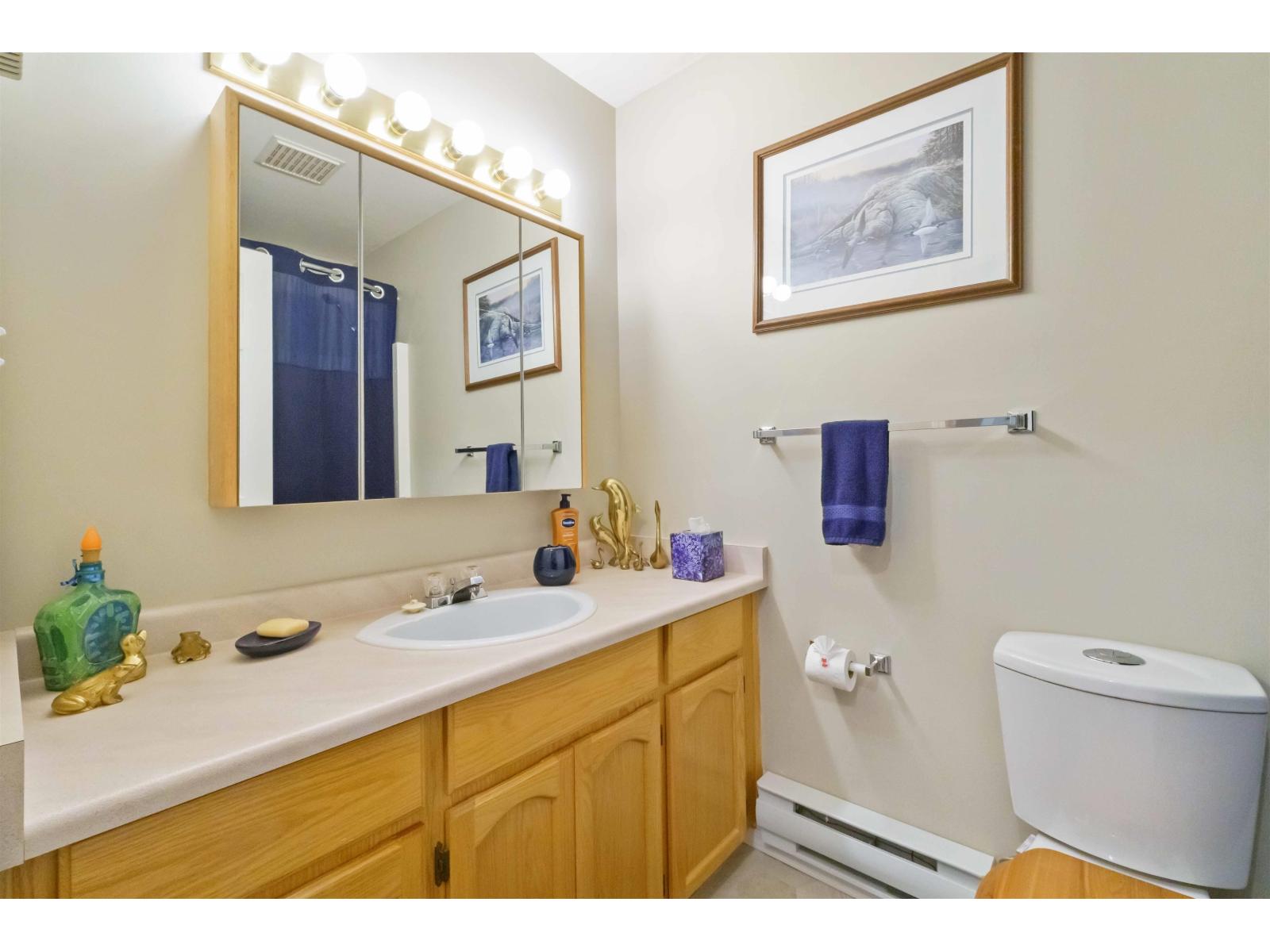 38 3380 Gladwin Road, Abbotsford, British Columbia  V2S 7G1 - Photo 17 - R3109992