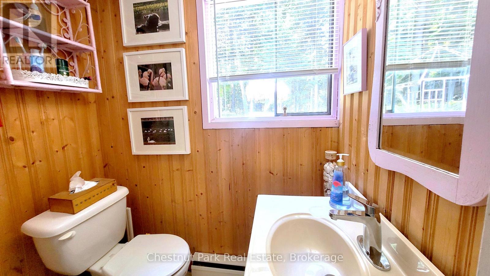 254 Bigwin Island, Lake Of Bays (Franklin), Ontario  P0B 1A0 - Photo 19 - X13017586