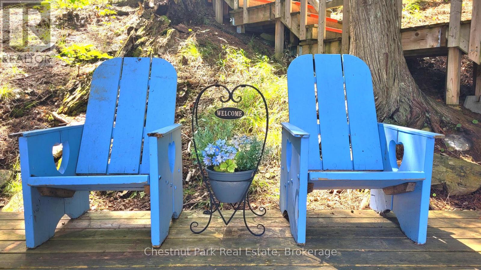 254 Bigwin Island, Lake Of Bays (Franklin), Ontario  P0B 1A0 - Photo 24 - X13017586