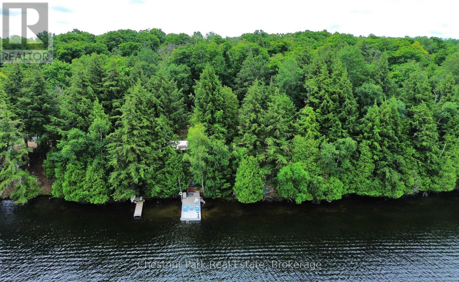 254 Bigwin Island, Lake Of Bays (Franklin), Ontario  P0B 1A0 - Photo 28 - X13017586