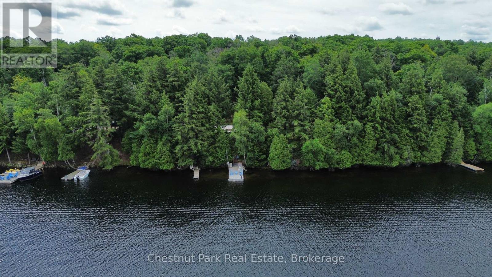 254 Bigwin Island, Lake Of Bays (Franklin), Ontario  P0B 1A0 - Photo 30 - X13017586