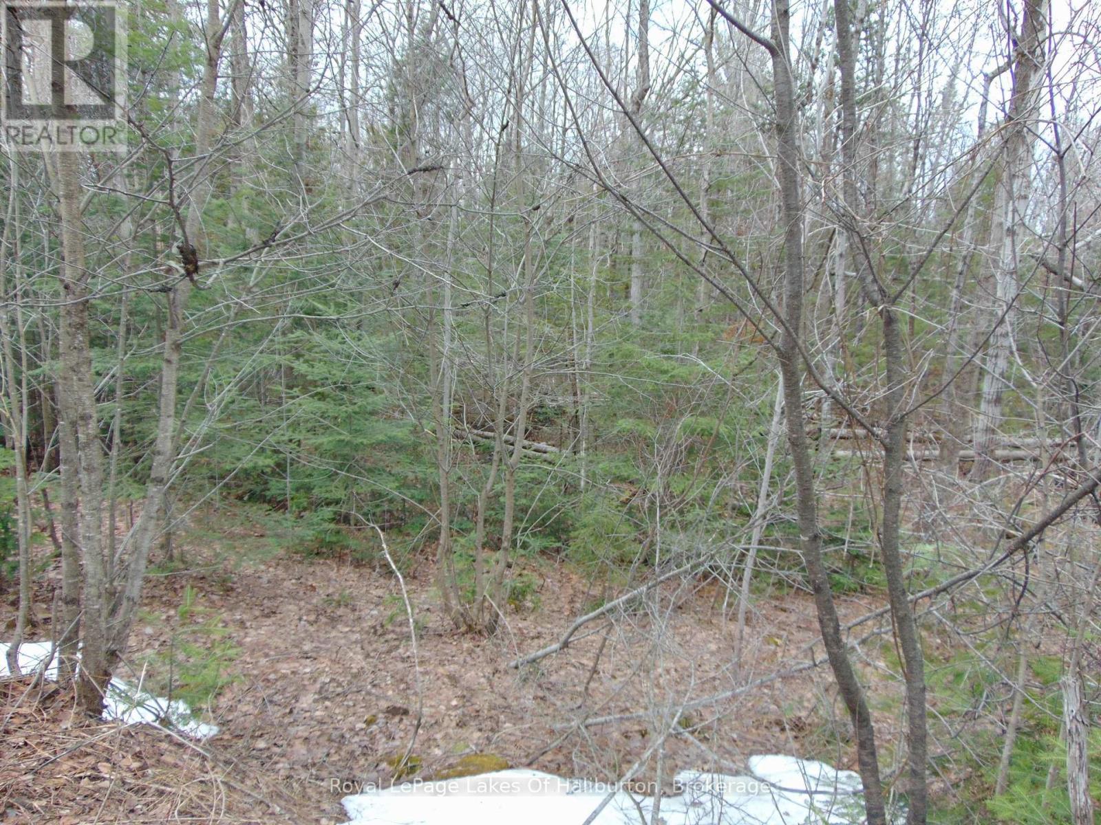 Lot 11 Plan 580 North Drive, Dysart Et Al, Ontario  K0M 1S0 - Photo 3 - X12898396