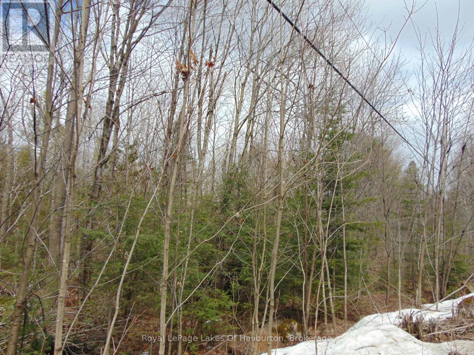 Lot 11 Plan 580 North Drive, Dysart Et Al, Ontario  K0M 1S0 - Photo 2 - X12898396